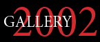 Gallery of the year 2002